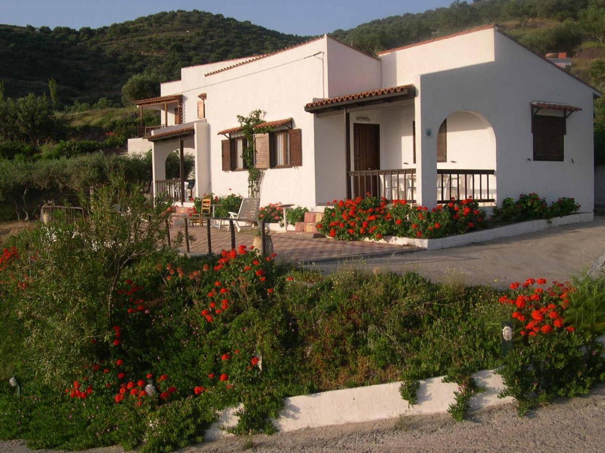 Limenaria Apartments Móchlos Quarto foto